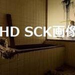 FHD SCK画像