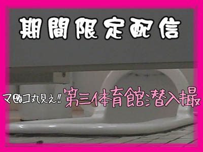 年末期間限定!!無垢▽地帯 超DANGER3 FHD【File053】