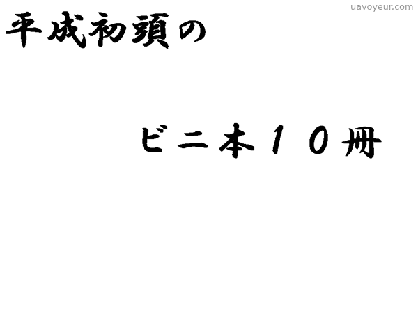 【秘蔵】平成初頭のビニ本10冊