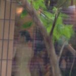 コレクション個人撮影　合宿風呂①