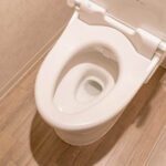 過去最高のトイレ作品