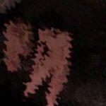 完全オリジナルsc風呂