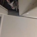 泡で遊ぶ女の子