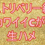 S級のCちゃんが生ハメ【高画質】
