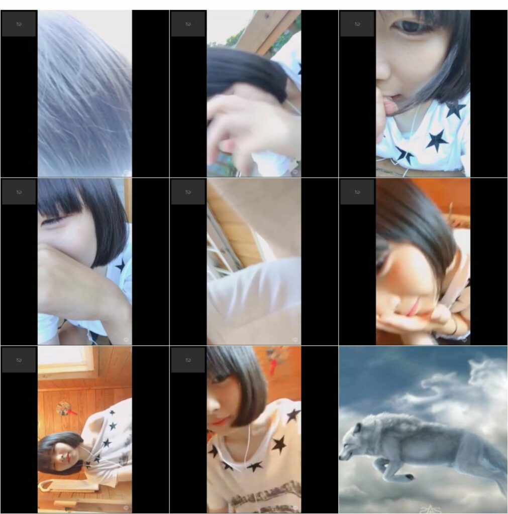 https://majav.org/Pic/app473.2.jpeg