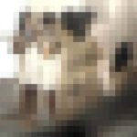 ytrzphw04kx0.jpg