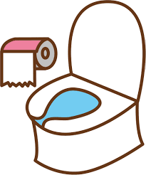 女子のトイレを観察…
