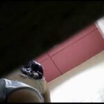 無修正　高●女子トイレに潜伏し盗撮　最後の一ひねりは両手でお尻を広げひねり出し