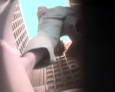 無)　便槽内からの超迫力リアル映像