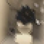 可愛い洋式 和式トイレ