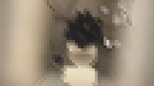 可愛い洋式 和式トイレ