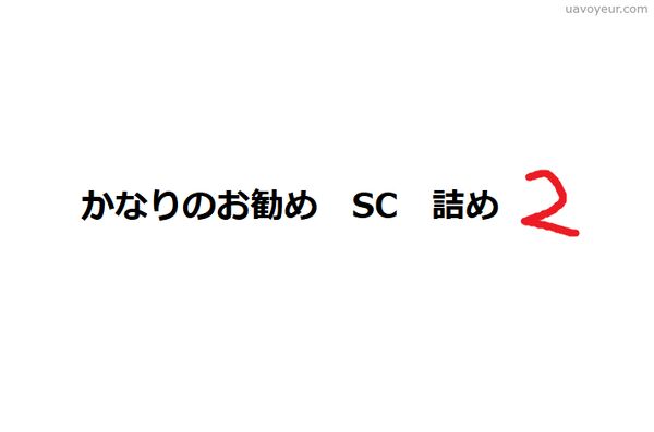 かなりのお勧め SC 詰め2