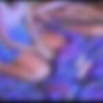 [円]ヤ●オクの2人　[無]