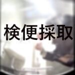 採取するセーラー