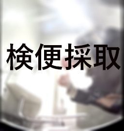 採取するセーラー