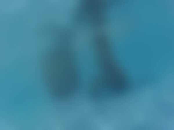 プールでの水中風景　見えてない世界