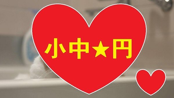 小中★円 ４人分 危険すぎる動画！ ３０本限定！エス子とシイ子♥♥