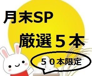 厳選5本！ 限定販売(かなり可愛い自慢の炉)早期終了！！月末値下げ