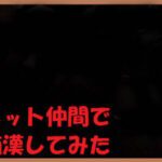 ネット仲間で痴漢してみた