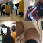【Q20】テイマーの日常を調査せよ