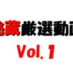 秘蔵厳選動画Vol.１