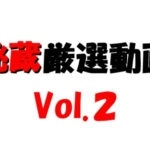 秘蔵厳選動画Vol.２