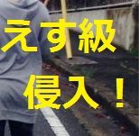 ●新作●えす級美少女にまたまた家宅侵入●例のあの撮影者●