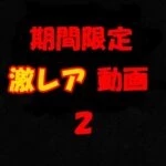 期間限定激レア動画２　mintシリーズ