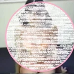 K級女子 ヲッサンにいじられたり。(無)