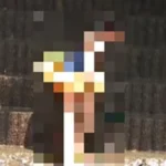 高画質 濡れ濡れ食い込むスクミ少女