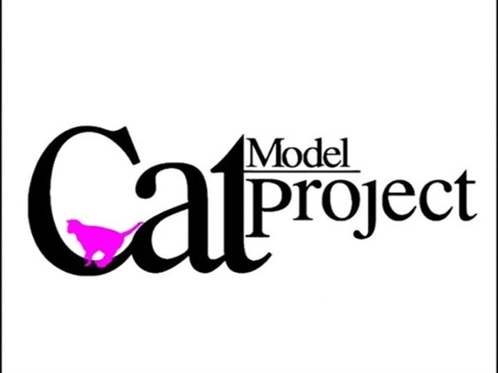 Cat Model Project Vol.8 佐々木舞