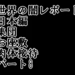 世界の闇レポート 日本編 集団 お座敷 肉体接待 パート8