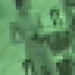 透け透け丸見え水泳大会