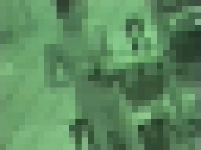 透け透け丸見え水泳大会