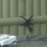 【低価格】 お友達と露天風呂