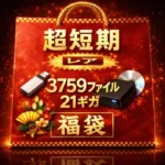 超短期　りゅ〇しゅつ　１１０人詰め合わせ　非売品　レア　３７５９ファイル　２１ギガ