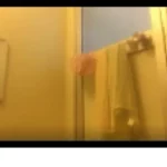 仲良くお風呂