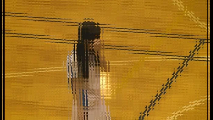 お嬢様校に通う娘の成長記録