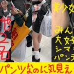 （PC/携帯対応）アイドルの純白パンティ（＊＾＾＊）