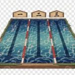水泳大会の様子