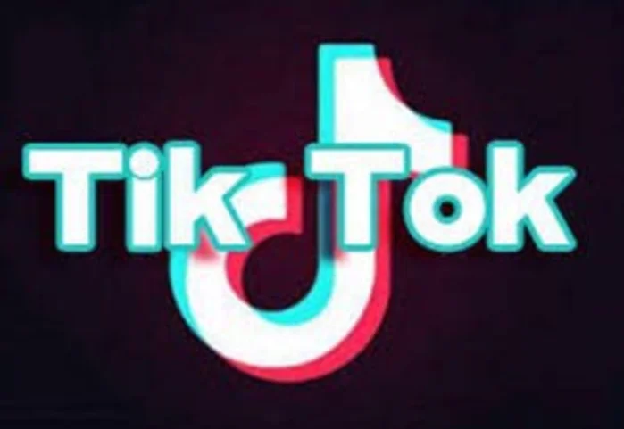 消されたTikTok 学校でやることじゃないよ